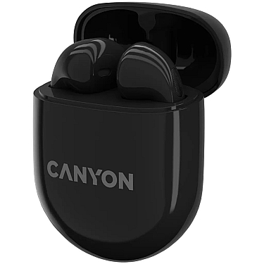 Qulaqlıq Canyon TWS6 Black (CNS-TWS6B)
