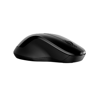HP 250 Dual WRLS Mouse