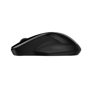 HP 250 Dual WRLS Mouse