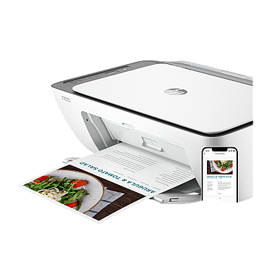 Printer HP DeskJet Ink Advantage 2876 AIO