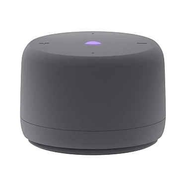Ağıllı dinamik Yandex Station Lite 2 (YNDX-00028GRY)