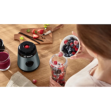 Blender Bosch MMB2111S