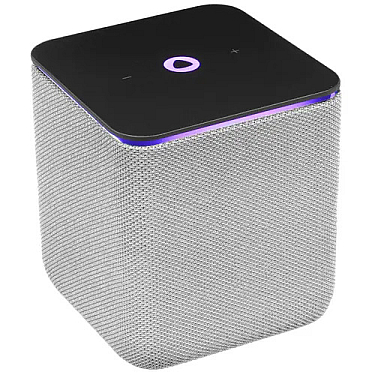Ağıllı dinamik Yandex Midi (YNDX-00054GRY)