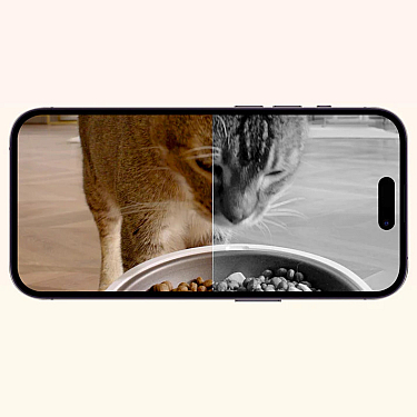 Petkit Yumshare Dual-Hopper with Camera Smart Pet Feeder (P591) (3 aylıq)