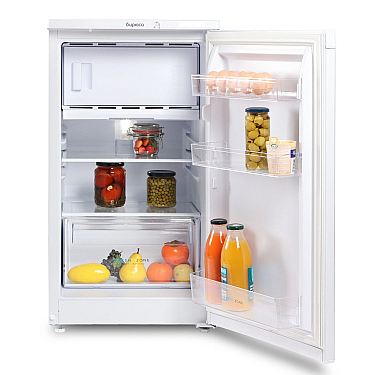 Soyuducu Biryusa M 10