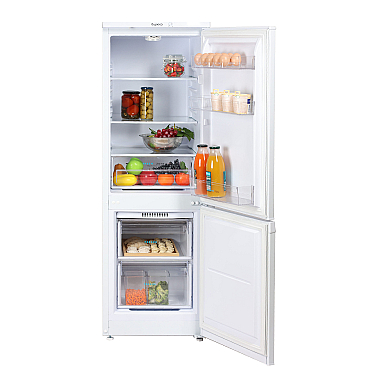 Soyuducu Biryusa 418