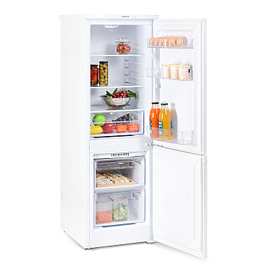 Soyuducu Biryusa 418