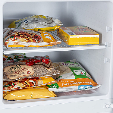 Soyuducu Biryusa 553