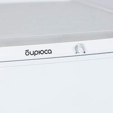 Soyuducu Biryusa 553