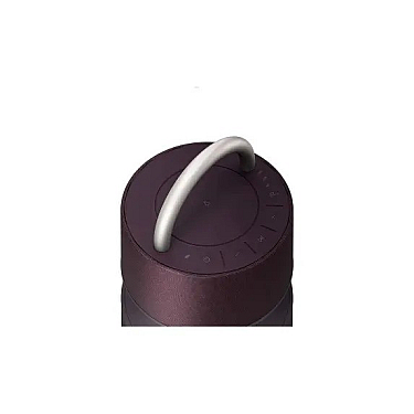 Portativ dinamik LG RP4.Darellk onebody violet