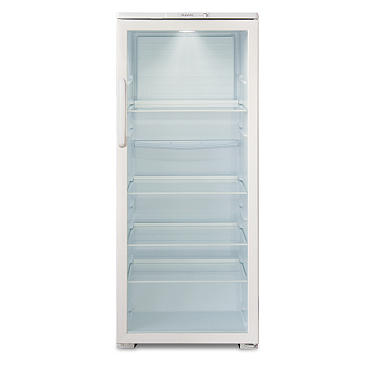 Soyuducu Biryusa 290