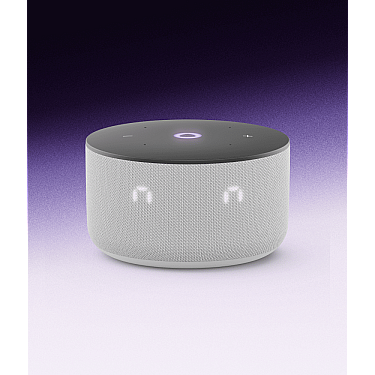 Ağıllı dinamik Yandex Station Mini 3 Gray (YNDX-00027G)