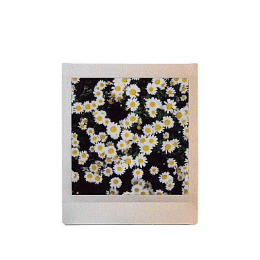 Photo Paper Instax Square Sunset 10 sheets