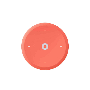 Ağıllı dinamik Yandex Lite 2 (YNDX-00026ORG)