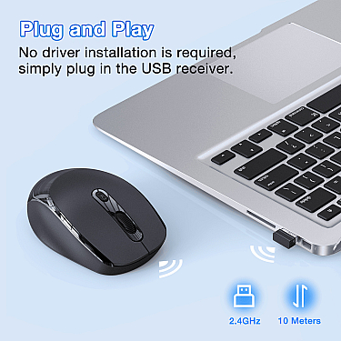 Mouse 1HORA RAT001 2.4G