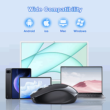 Mouse 1HORA RAT001 2.4G