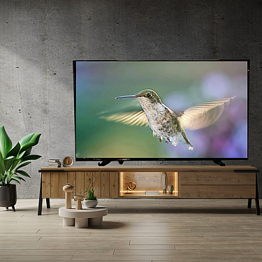 Televizor Biryusa BU50N47