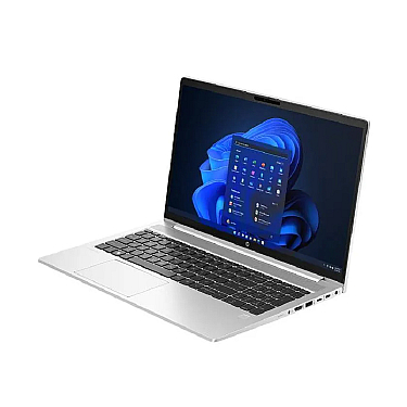 Notbuk HP ProBook 450 G10 / 15.6" (A23M3EA)