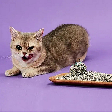 Petkit 5 in 1 Mixed Cat Litter (PKCL04) (QUM)