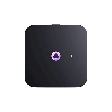 Ağıllı stansiya Yandex Midi Black (YNDX-00054)