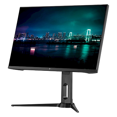 Monitor 2E-H2420B-01.UA