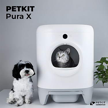 Petkit Pura X